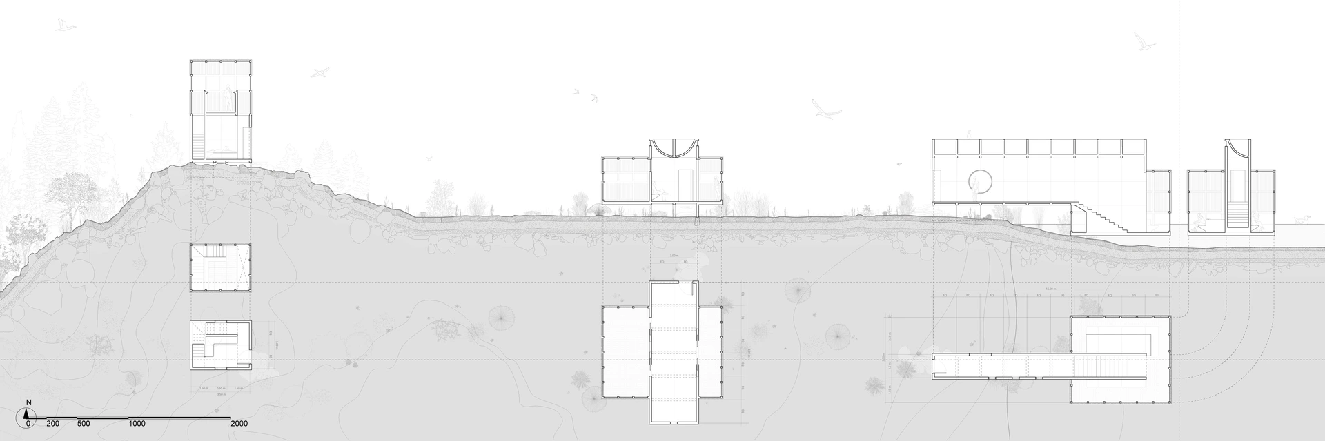 Plan and section along the lagoon’s edge